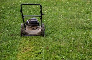 Don’t Make a New Reference File Clipping Boundary 3 AdobeStock 672618368 - find any text