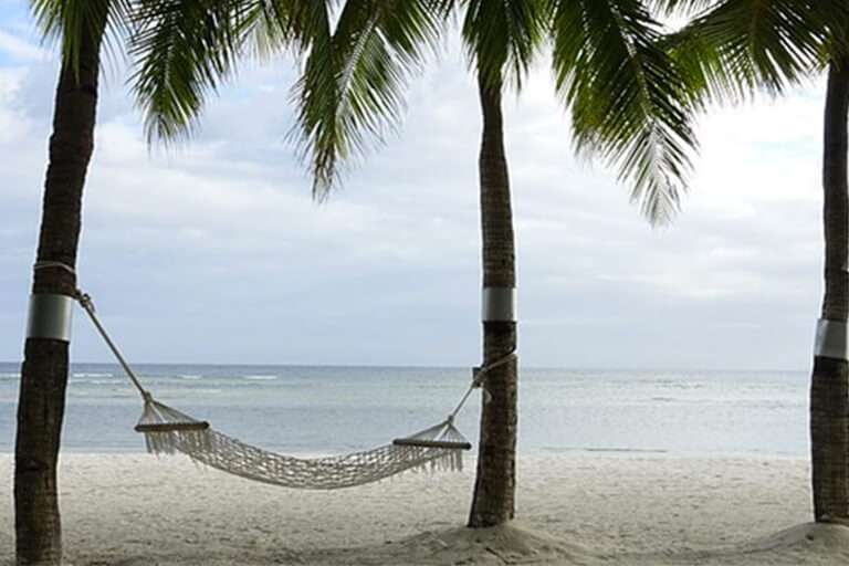 Save time with CAD/BIM, hammock between two palm trees on beach