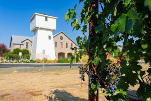AdobeStock 640892924 - winery BIM design